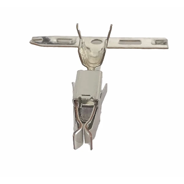008-Photoroompng-Photoroom001 008-Photoroompng-Photoroom001